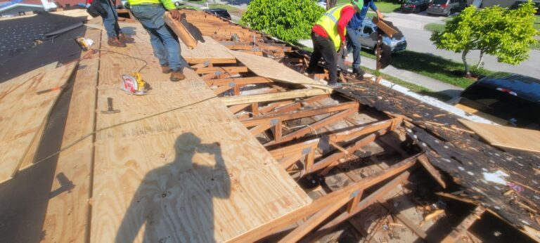 0b526d13 71de 49cd a94a 85accbd77ab3 768x346