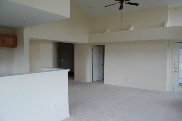 100050352 2599403883493254 4428029424394305536 n 768x511