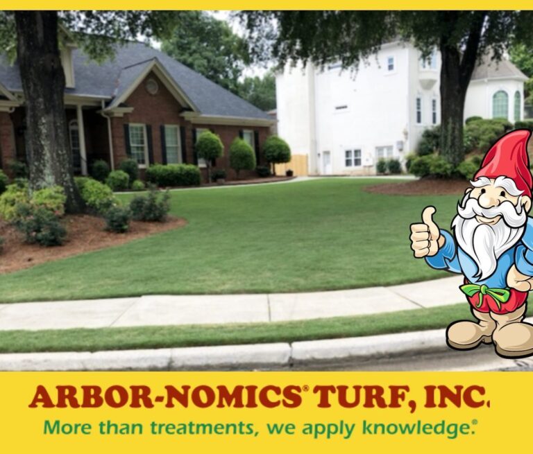 104982604 10159302829938274 6867926923591780985 n 768x655