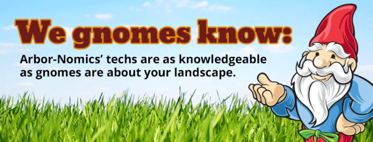 17424922 10155336596123274 3546477957196307631 n 768x292