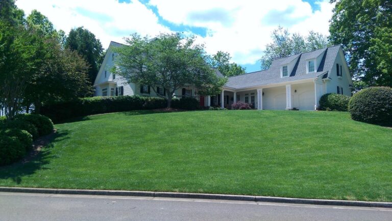 195555531 10160386841273274 5217581787819569744 n 768x434