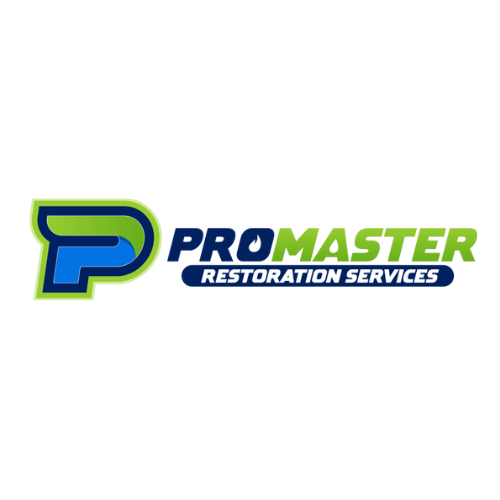 1 Logo ProMaster Restoration Services