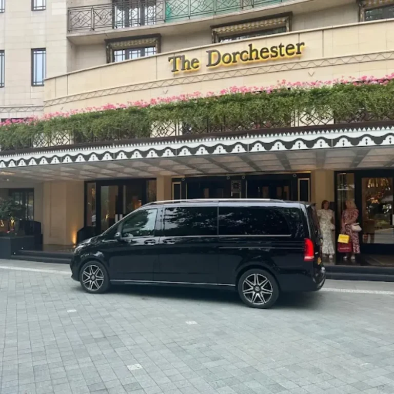 2024 11 07 5 1024x1024 1 768x768