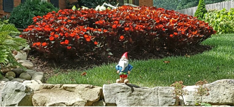 284058279 10161122047128274 6033431201185103825 n 768x351