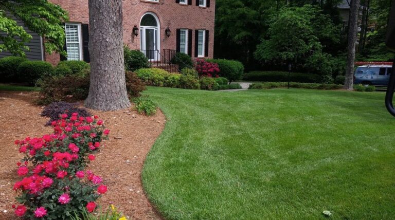 288273139 10161163668403274 8393459979551131611 n 768x428