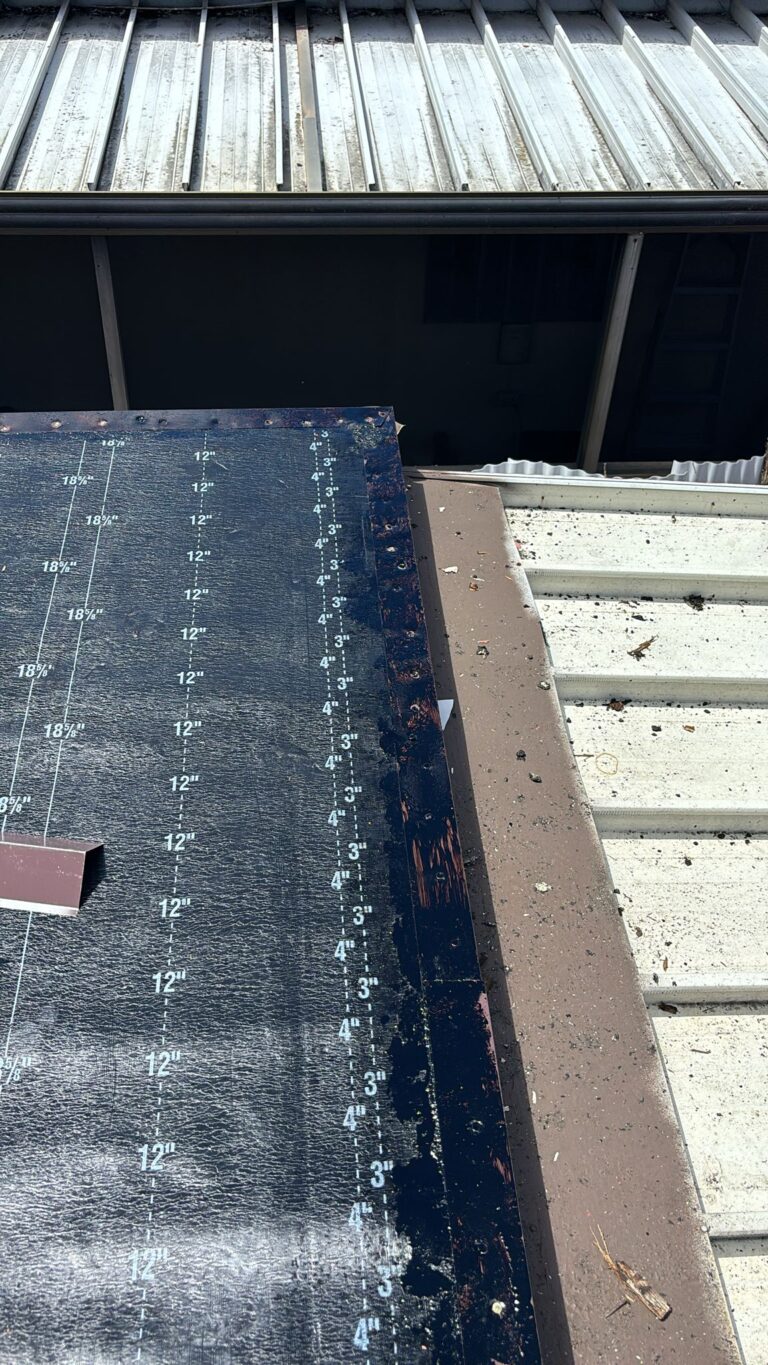 2caa25c5 51cb 4cd9 aa7b 182d1e457e19 768x1365