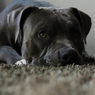 301525080 523334349794803 7393447801608025763 n 1.jpg nc cat104ccb1 7 nc sid6de708 nc ohcsPw62i407KMQ7kNvgEYxM99 nc htscontent ord5 2 1