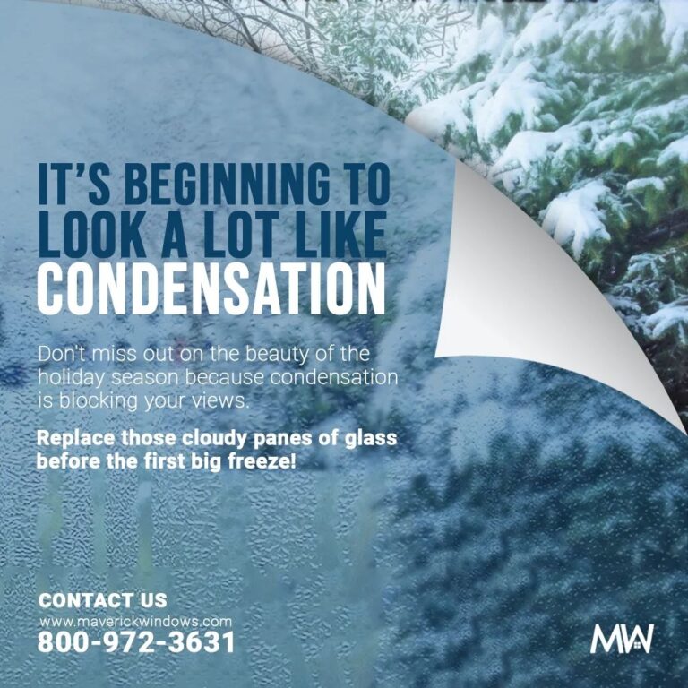 318203674 552155186929911 3418091577618158243 n 768x768