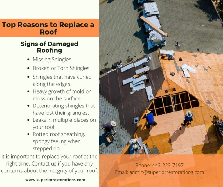 358070255 704032568402644 3787472986306310196 n 768x644