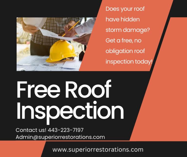 359815076 709229957882905 1252469828420063733 n 768x644