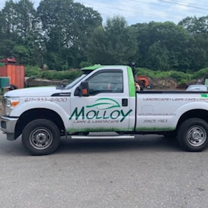 68162591 118462216109832 1076739293090377655 n