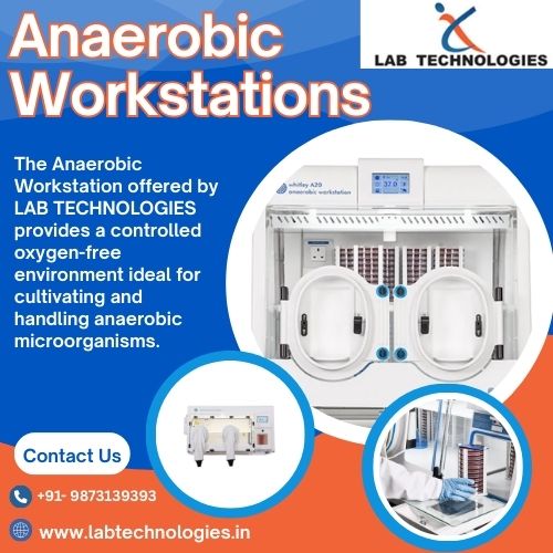 Anaerobic Workstations