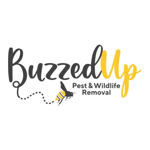 Buzzeduppest logo