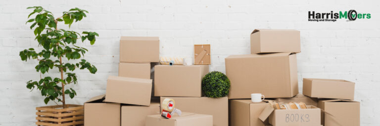 COVER 1200x4002 1 768x256