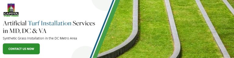 Capitol Turf Pros Graphic 1000 x 250  768x192