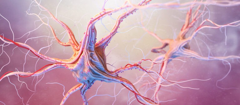 Cover Image  768x337