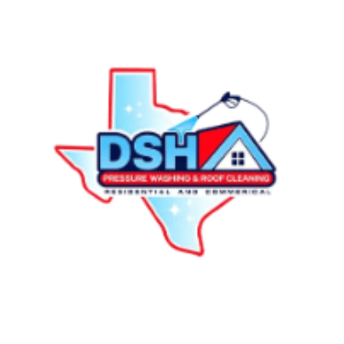 DSH Pressure Washing logo