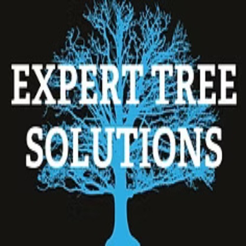 ETS Tree Name Logo Vector Art edited edited edited edited 1