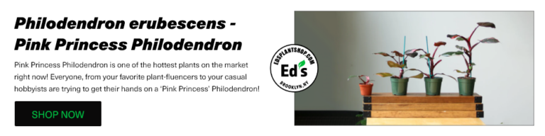 Eds Plant Shop Graphic 1000x250 1 768x192