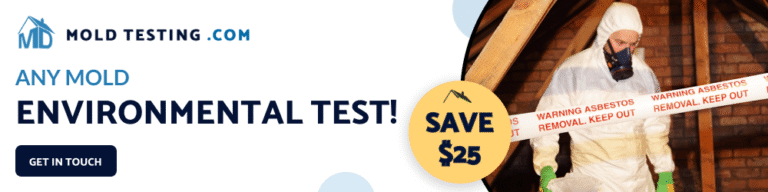 Environmental Testing   MD Mold Testing 1 768x192