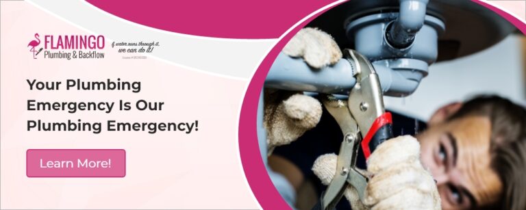 Flamingo Plumbing Graphics1000 x 400 768x307