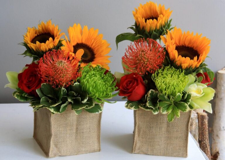 Flowers of the Sun 768x545