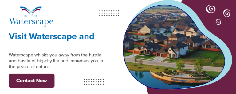 Graphic 1000x400 1 1 768x307