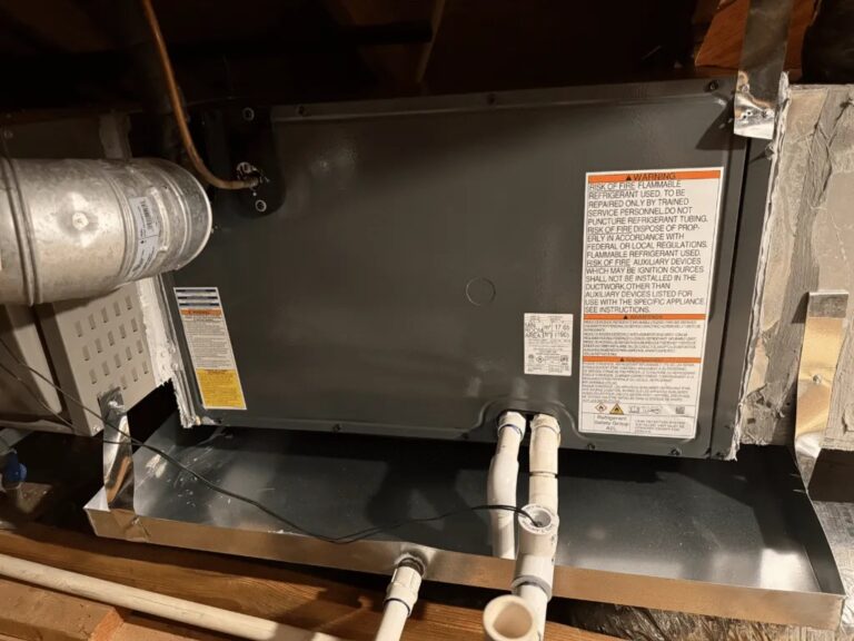 IMG 0380 1024x768 1 1 768x576