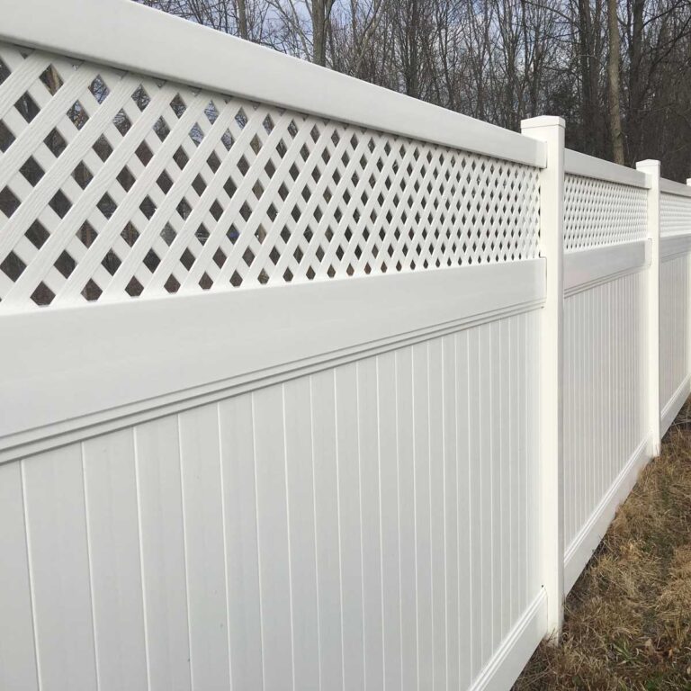 IMG 0643 web 768x768