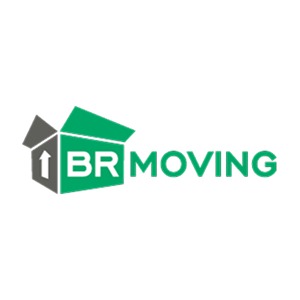 LOGO 300x300 brmoving