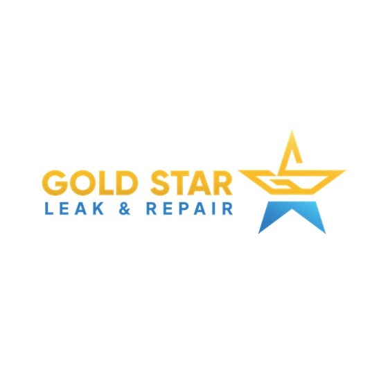 Logo 550 6