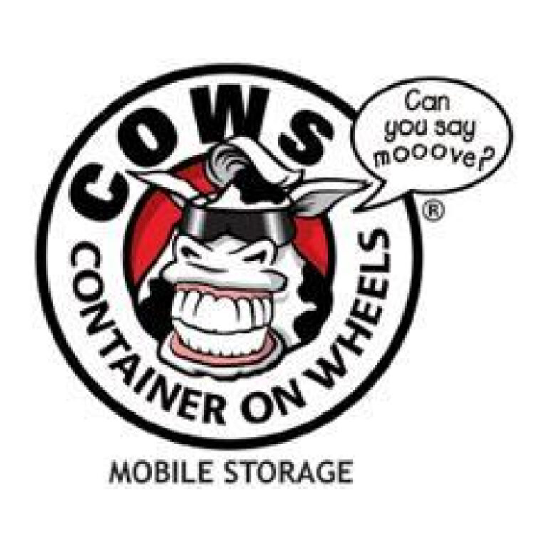 Logo 800x800 mobile storage apopka fl 768x768