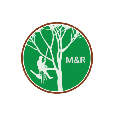 MR Tree services