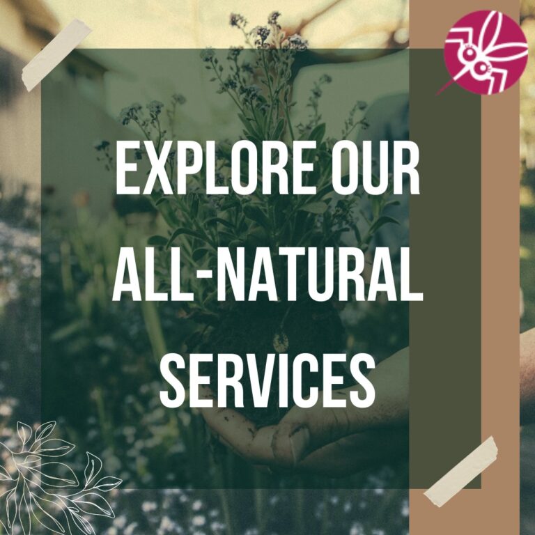 Macomb mosquito company 768x768