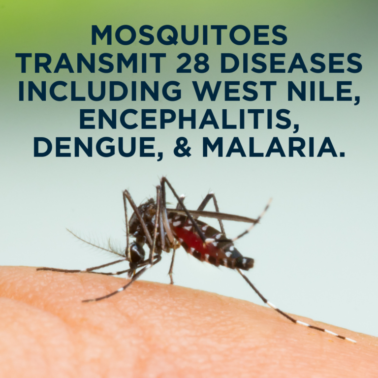 Macomb mosquito control 768x768