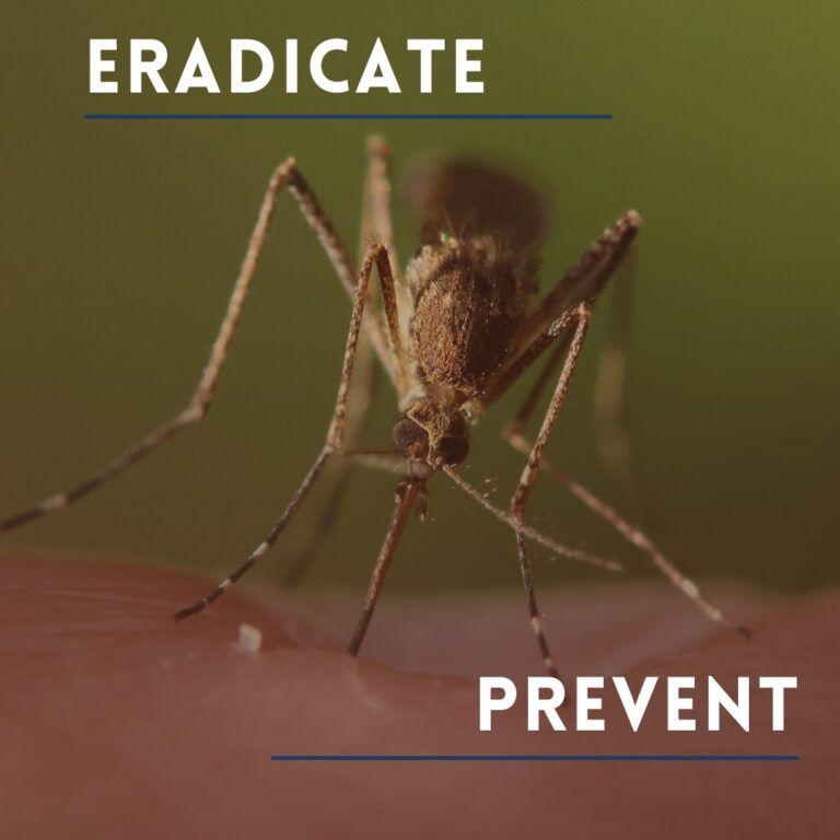 Macomb mosquito treatment 768x768