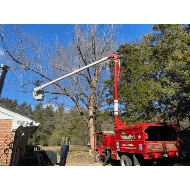 Nunnallys Tree Service 1 768x768