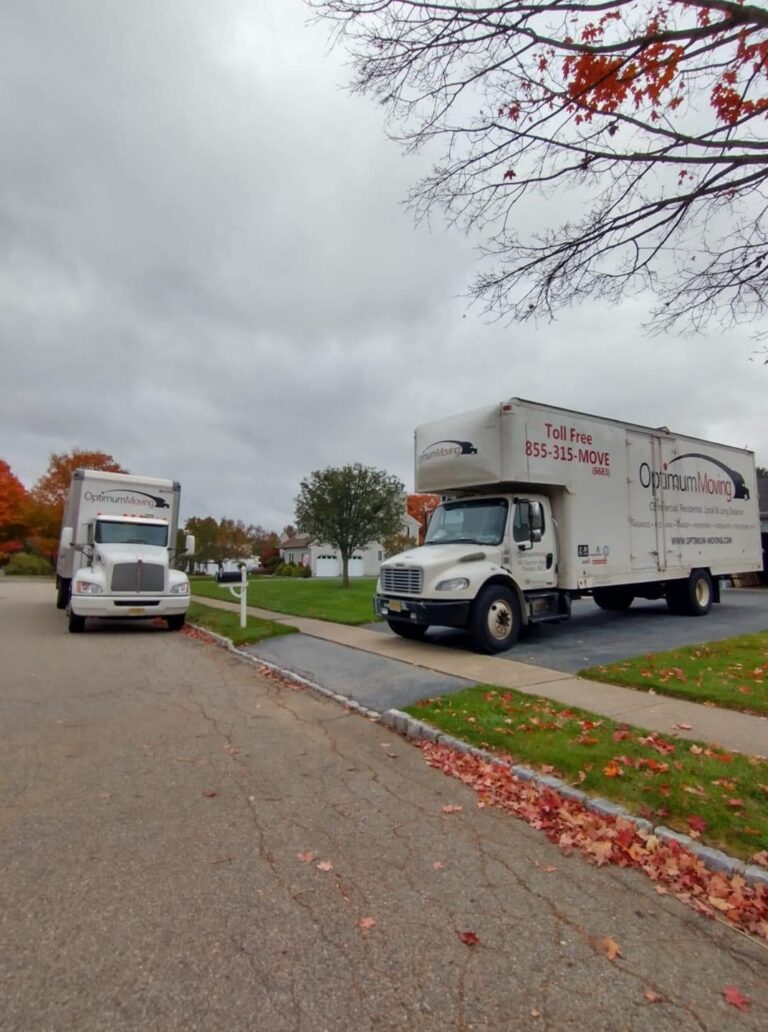 Optimum Moving 2 768x1032