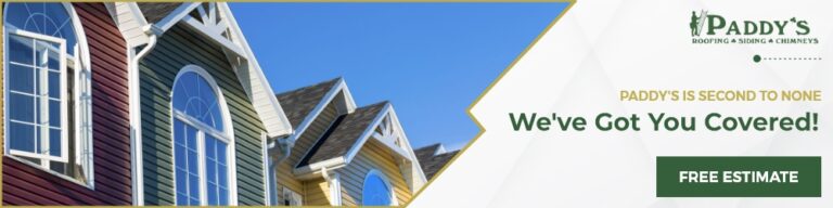 Paddys LLC 1000x250 Graphics 768x192