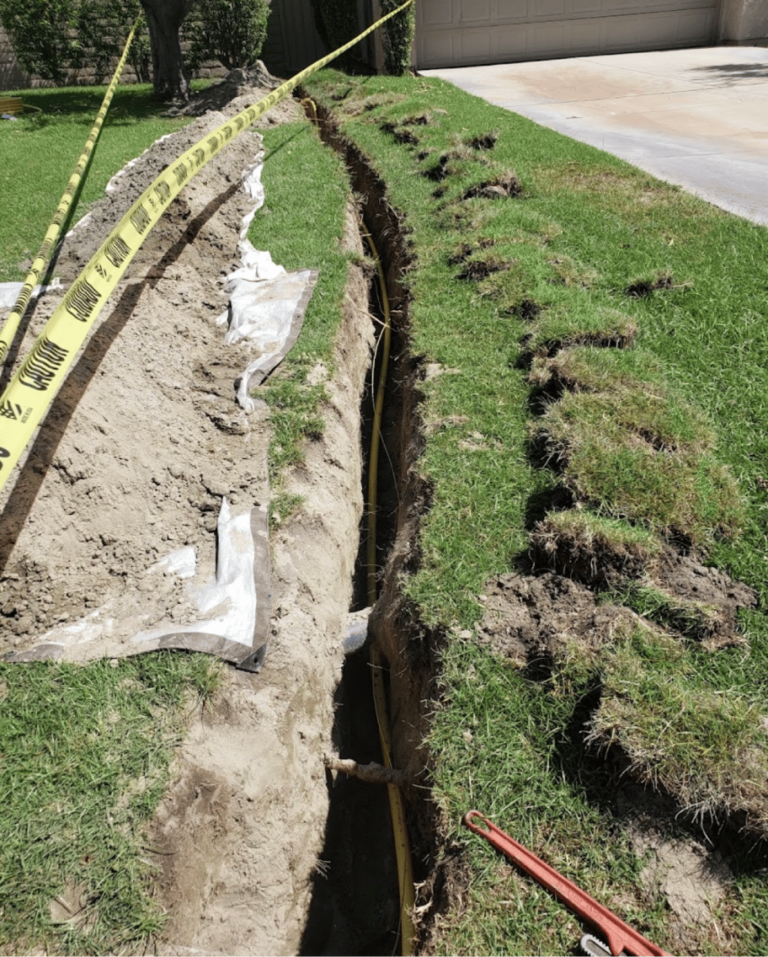 Rectangle 235 768x957