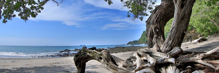 Relocation Flamingo Beach Realty 768x256