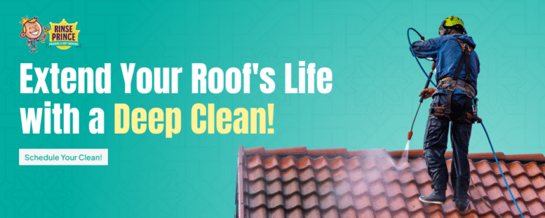 Rinse Prince Roof Washing with Deep Clean 768x307