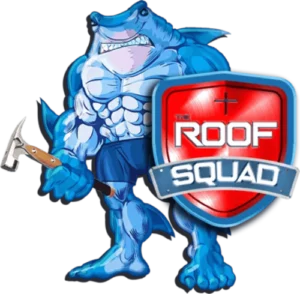Roof Squad Logo 1 300x294 1