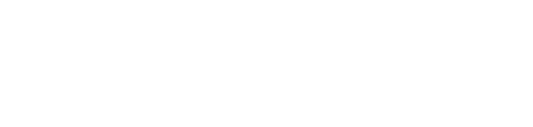 SPLogo Light 2x 1 768x183