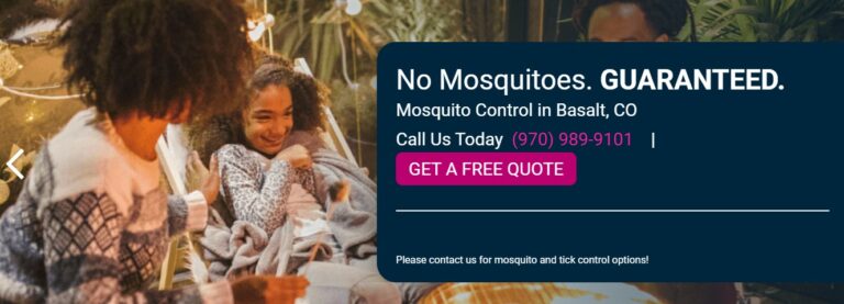 Screenshot 2022 09 28 141446 768x277