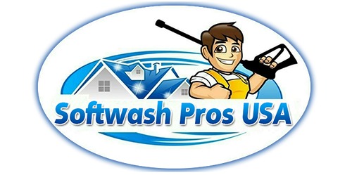 Soft pros logo