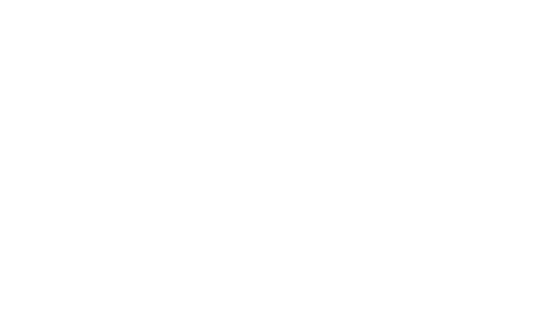 Solace word mark only transparent White 768x480