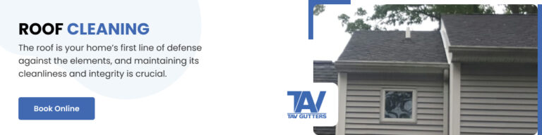 Tav Gutter Roof Cleaning 768x192