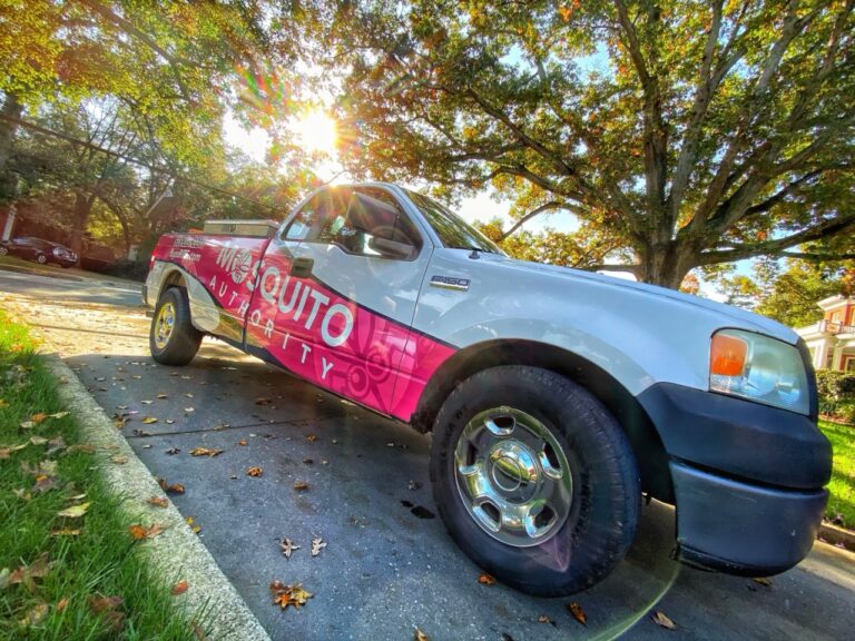 WhatsApp Image 2022 03 14 at 1.57.40 PM 3 768x576