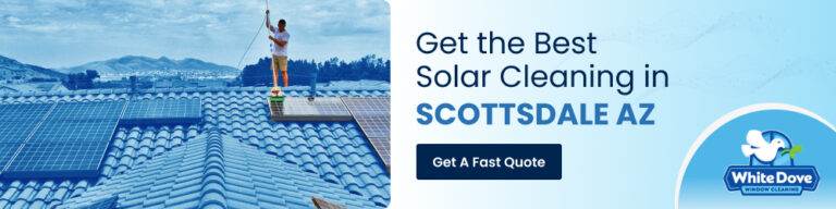 White Dove Windows Graphic 1000x250 2 768x192